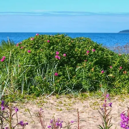 Well-equipped Summerhouse With Sauna In Võsu