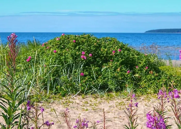 Well-equipped Summerhouse With Sauna In Võsu